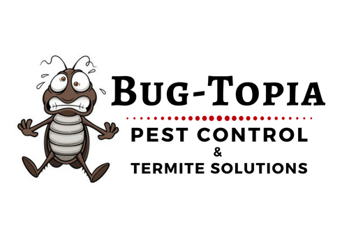 Pest Control Coomera  Gold Coast Pest Services