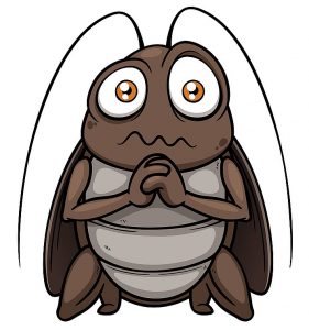 begging-bug-large